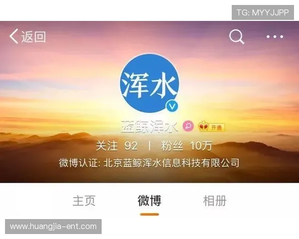 金富翁官官网平台用户评价与使用体验分享